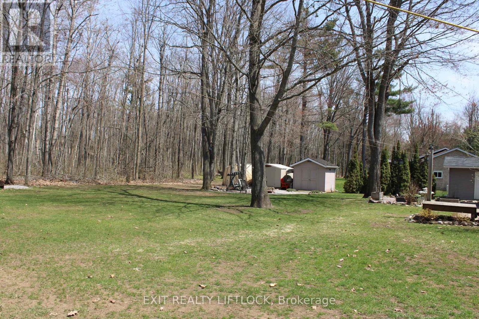 178 Adam & Eve Road, Trent Lakes, Ontario  K0L 1J0 - Photo 37 - X13085730