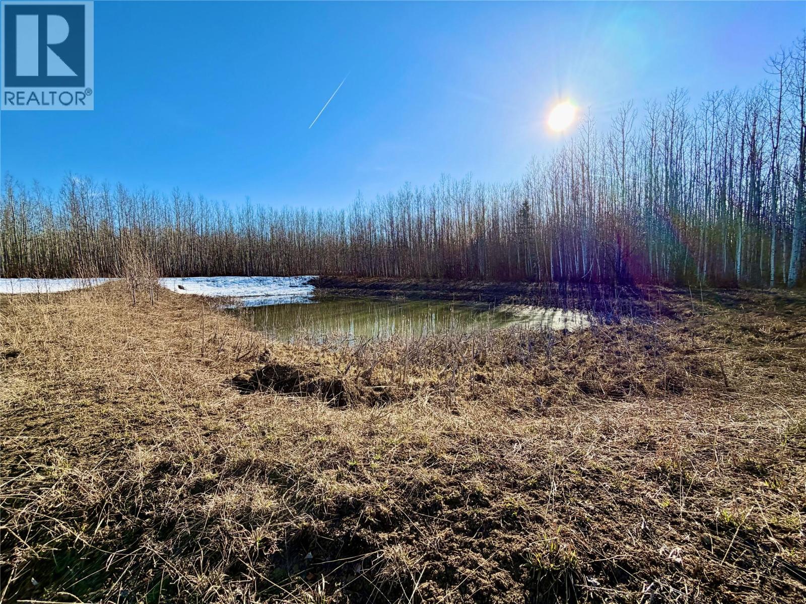 203 Road, Dawson Creek, British Columbia  V0C 2L0 - Photo 4 - 10385958