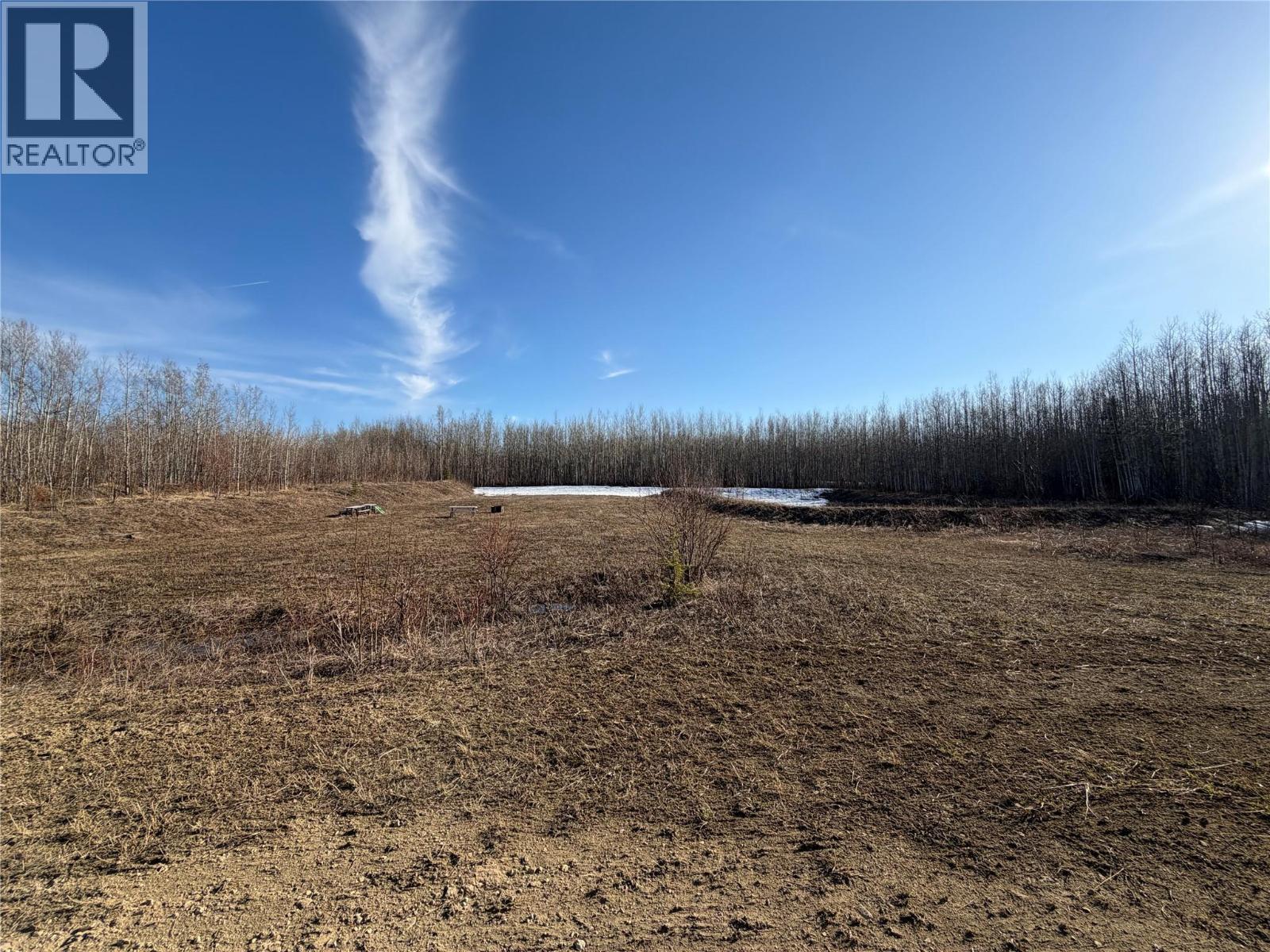 203 Road, Dawson Creek, British Columbia  V0C 2L0 - Photo 5 - 10385958