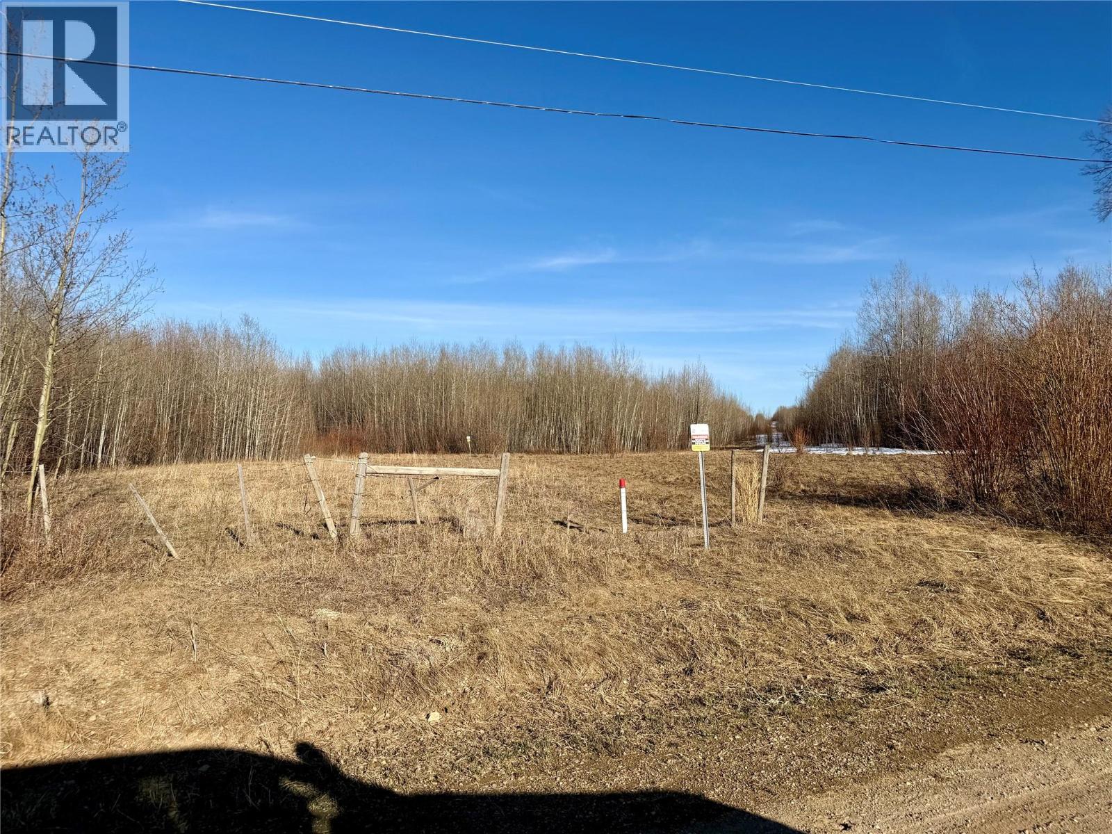 203 Road, Dawson Creek, British Columbia  V0C 2L0 - Photo 11 - 10385958