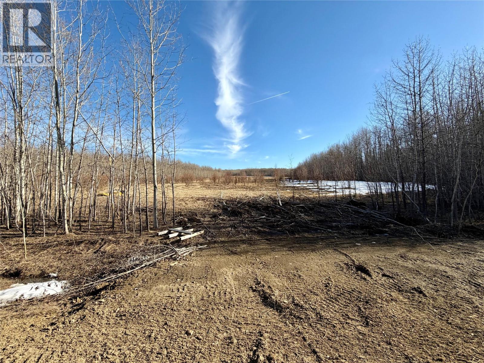 203 Road, Dawson Creek, British Columbia  V0C 2L0 - Photo 6 - 10385958