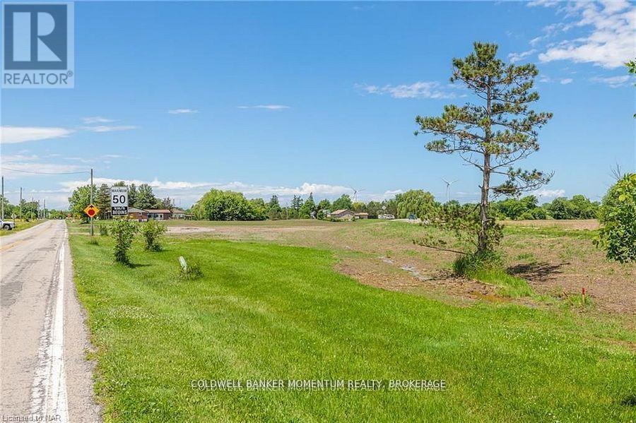 73978 Regional Road 45 Road, Wainfleet, Ontario  L0R 2J0 - Photo 4 - X13039412