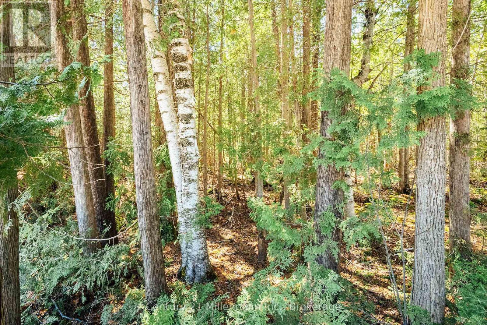 Pt Lt 24-25 Con 4 Ebr, Northern Bruce Peninsula, Ontario  N0H 1W0 - Photo 2 - X12983498