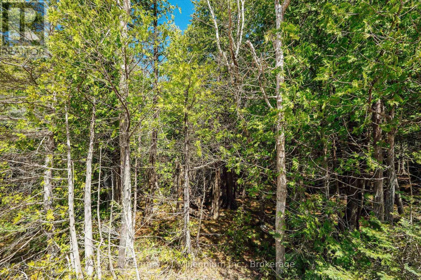 Lt 12 Con 2 Wbr Lindsay, Northern Bruce Peninsula, Ontario  N0H 1W0 - Photo 2 - X12983302