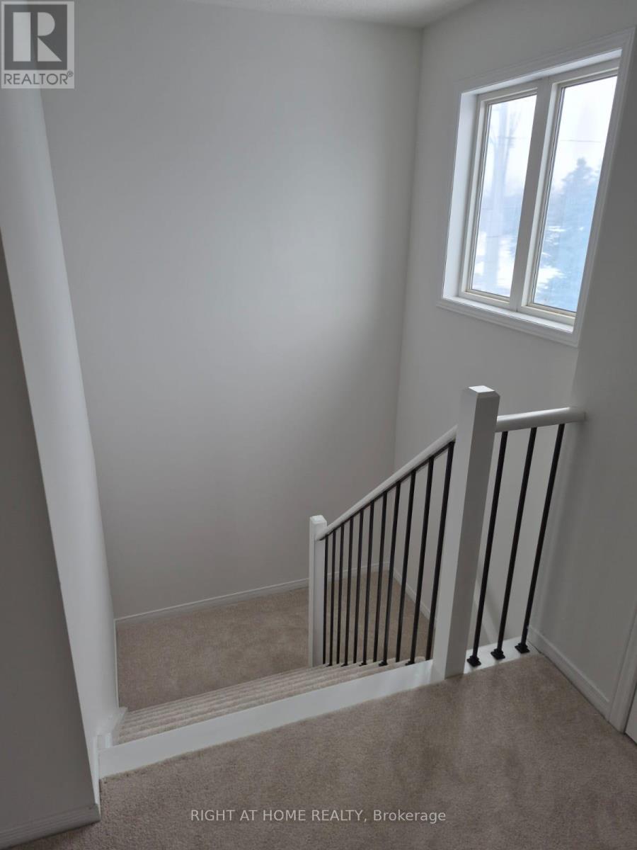 3 Peartree Court, Barrie, Ontario  L4N 6N7 - Photo 9 - S12602366