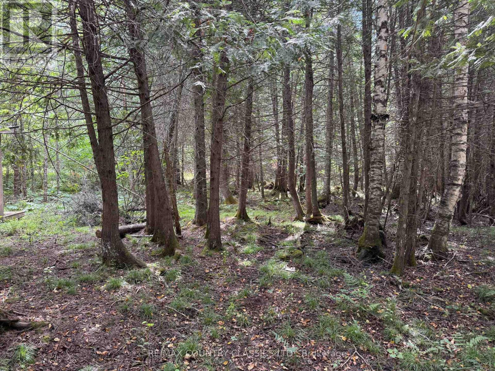 189 Schimmens Road, Brudenell, Ontario  K0J 2E0 - Photo 3 - X13102012