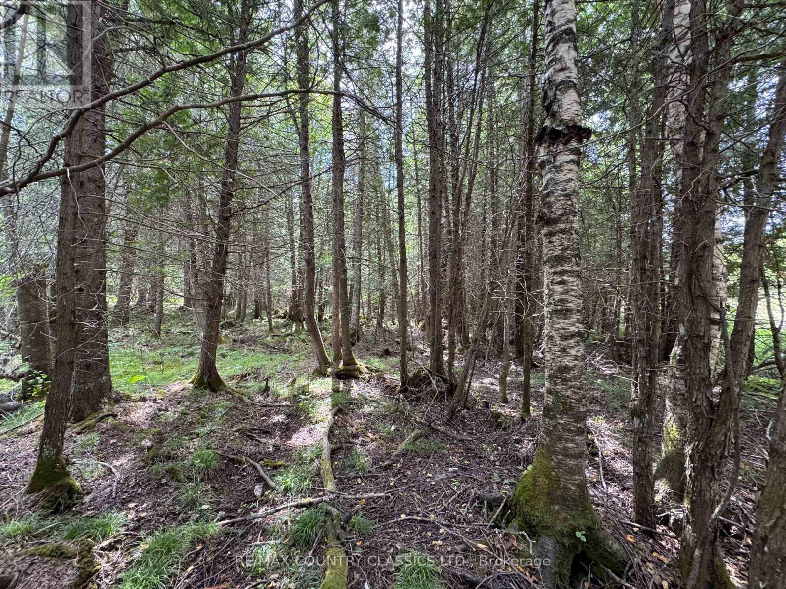 189 Schimmens Road, Brudenell, Ontario  K0J 2E0 - Photo 4 - X13102012