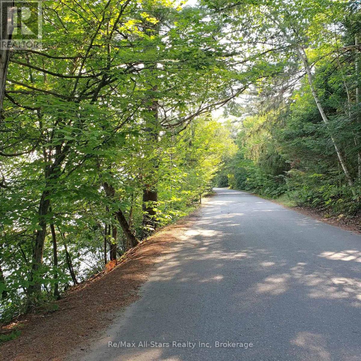 1037 Glenmount Road, Lake Of Bays, Ontario  P0B 1A0 - Photo 23 - X13101892