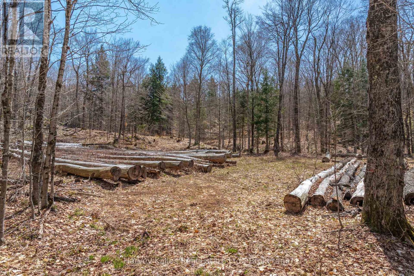 643b Highway 632, Seguin, Ontario  P2A 2W8 - Photo 17 - X13102080