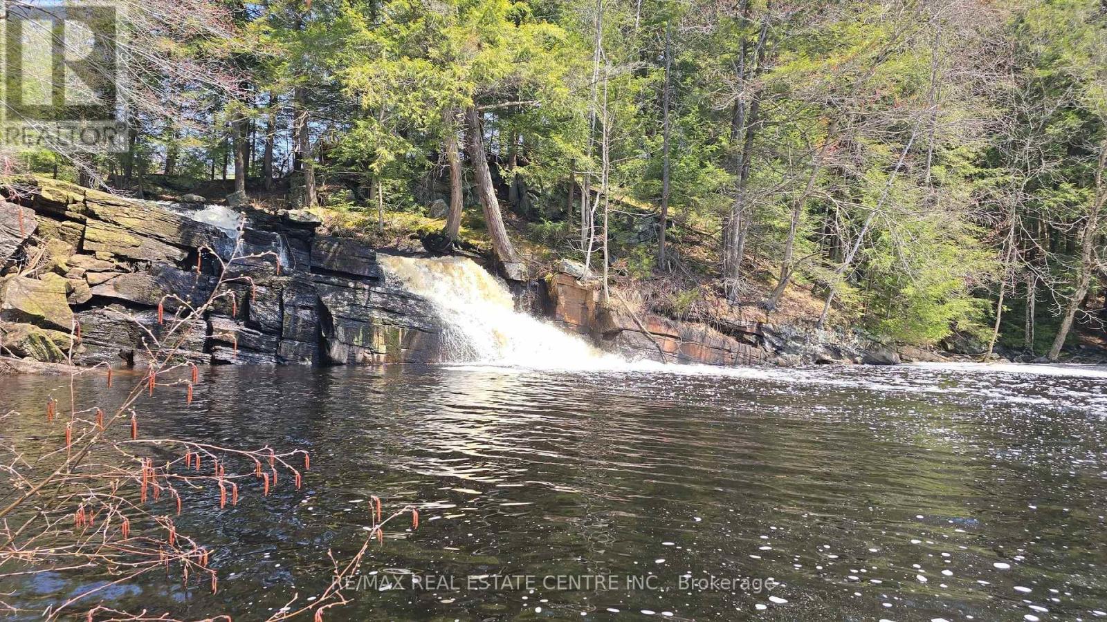 1033 North Shore Drive, Gravenhurst, Ontario  P1P 1R1 - Photo 3 - X13102194