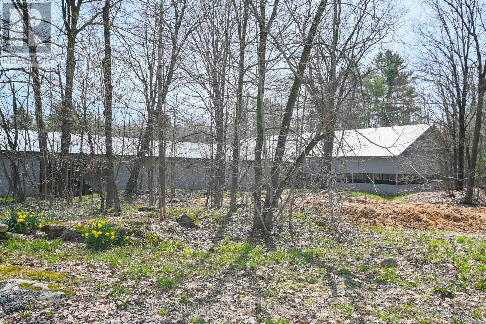 1033 North Shore Drive, Gravenhurst, Ontario  P1P 1R1 - Photo 35 - X13102194