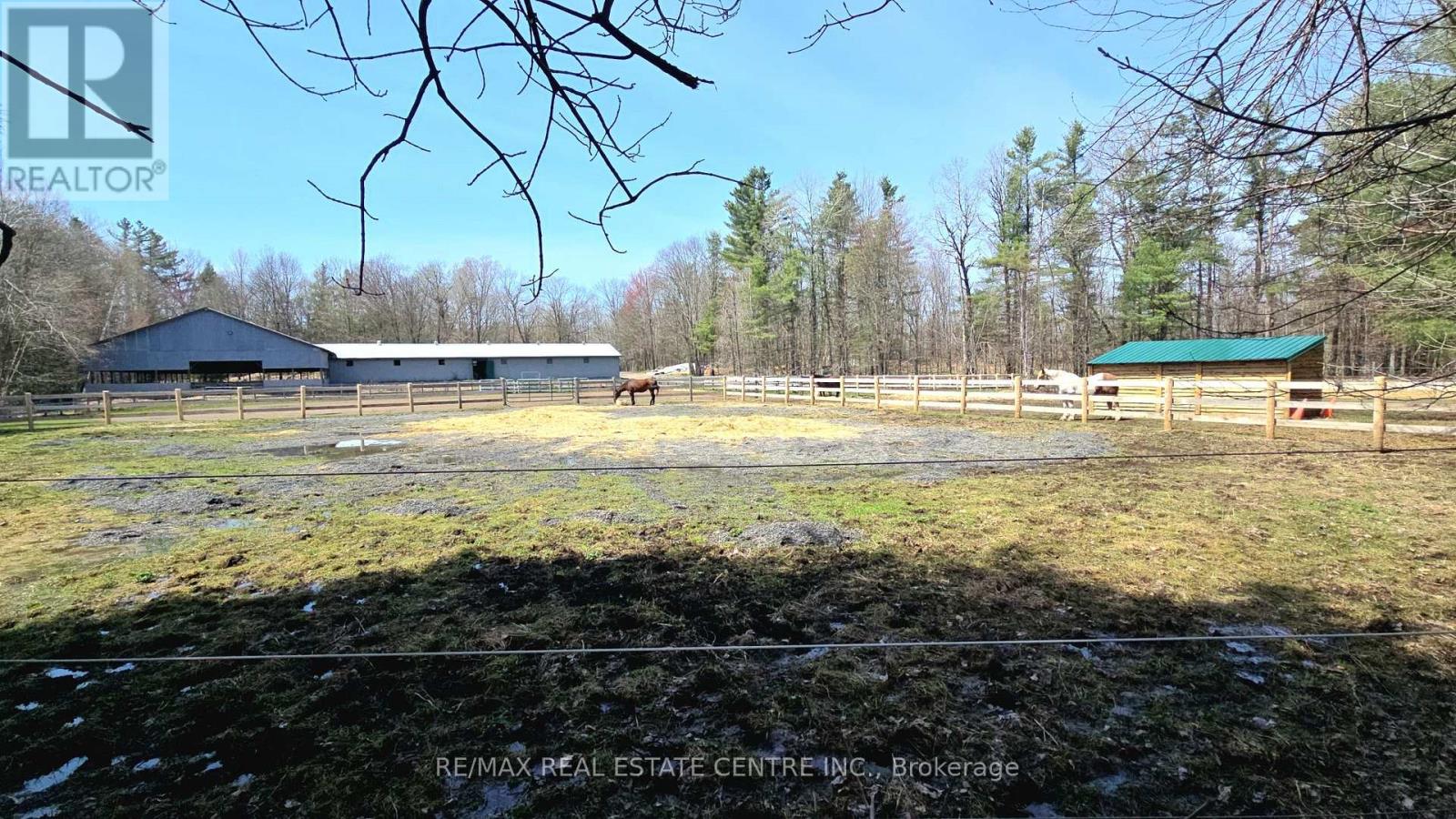 1033 North Shore Drive, Gravenhurst, Ontario  P1P 1R1 - Photo 38 - X13102194