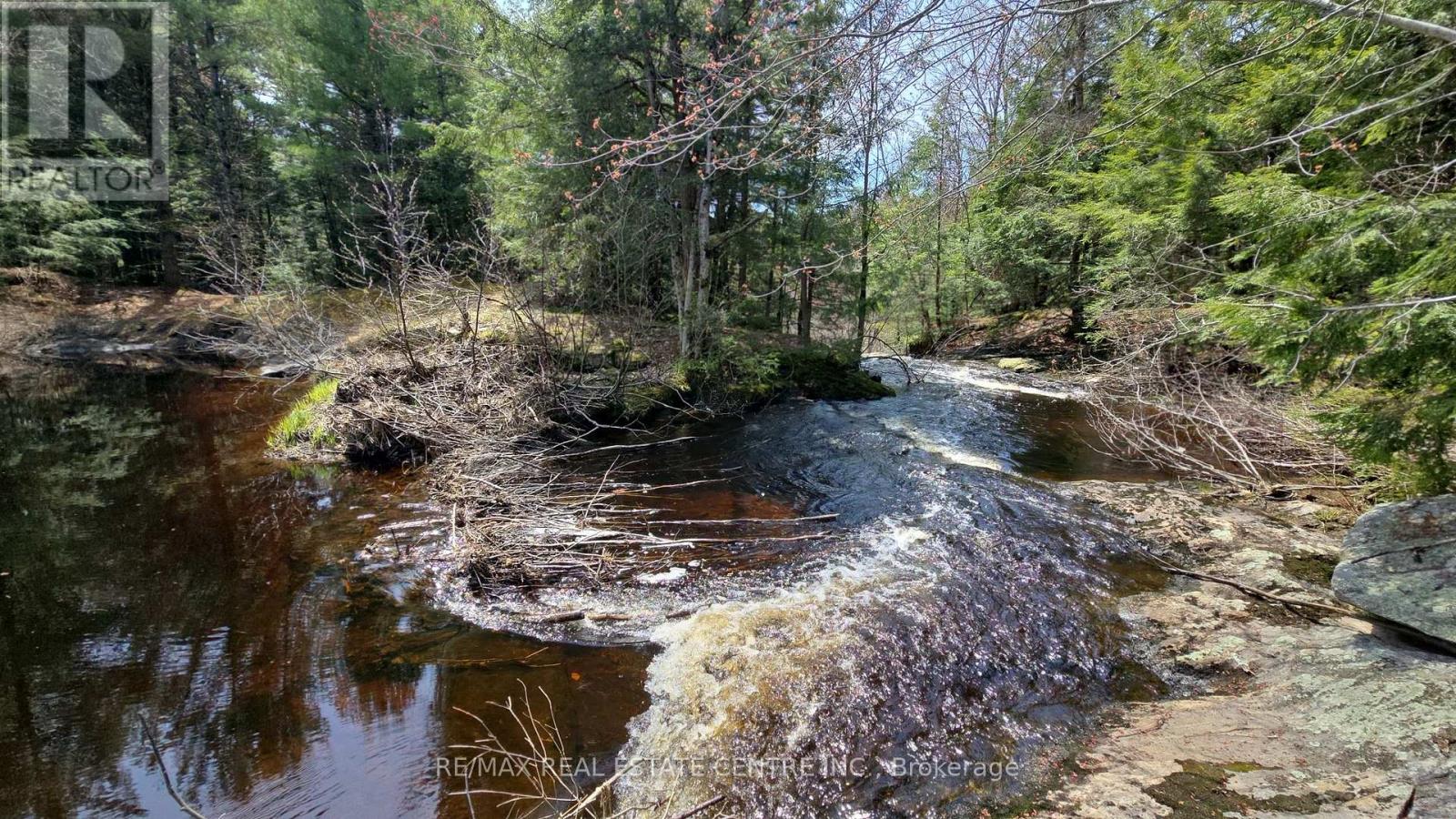 1033 North Shore Drive, Gravenhurst, Ontario  P1P 1R1 - Photo 4 - X13102194