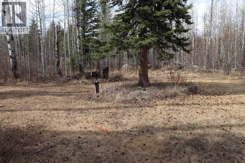 24, 53105 Range Road 195, Rural Yellowhead County, Alberta  T7E 3A2 - Photo 14 - A2308803