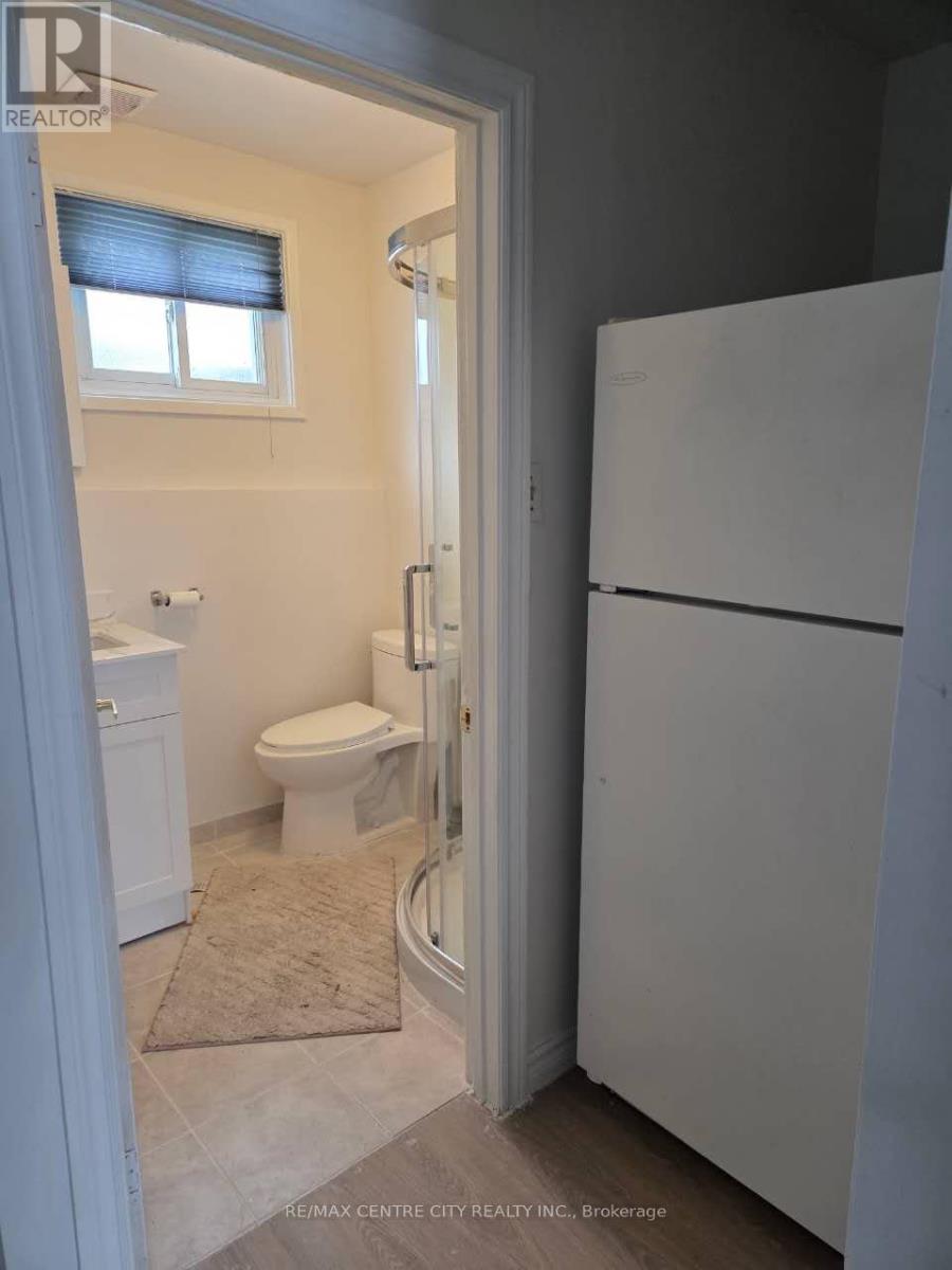 Basement - 1461 Glengary Avenue W, London North, Ontario  N5X 1P9 - Photo 5 - X13102406