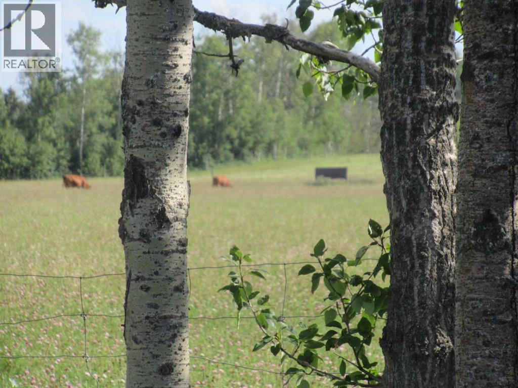 Bingley Road, Rural Clearwater County, Alberta  T4T 1A9 - Photo 1 - A2307520