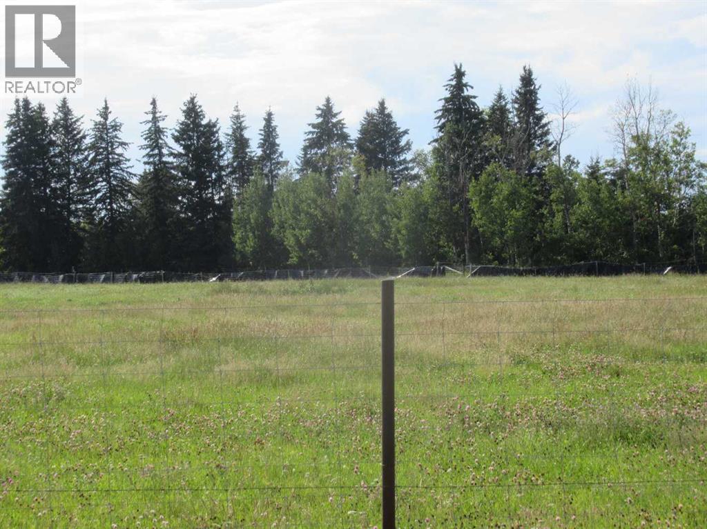 Bingley Road, Rural Clearwater County, Alberta  T4T 1A9 - Photo 15 - A2307520