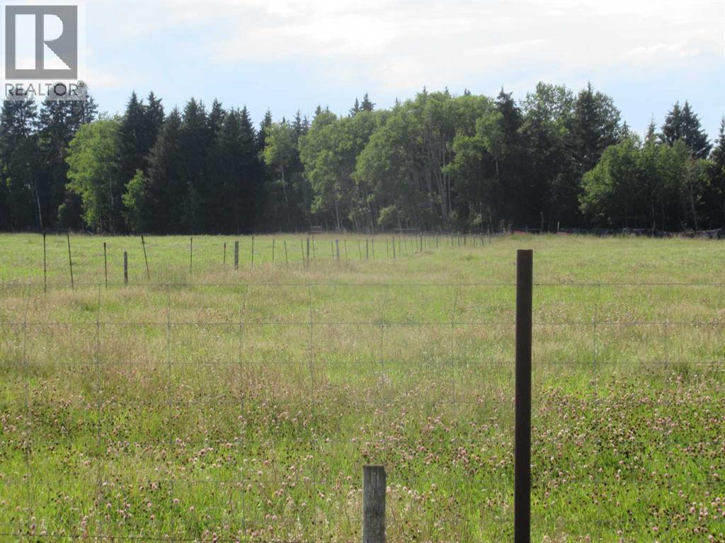 Bingley Road, Rural Clearwater County, Alberta  T4T 1A9 - Photo 16 - A2307520