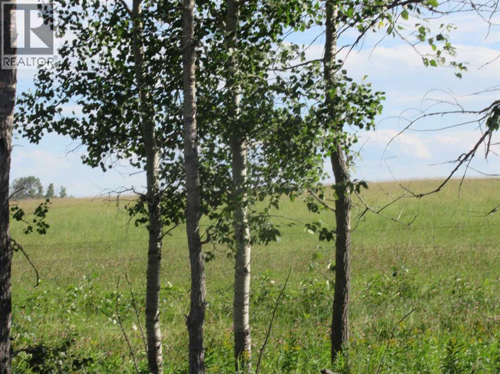 Bingley Road, Rural Clearwater County, Alberta  T4T 1A9 - Photo 2 - A2307520