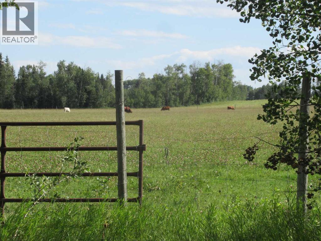 Bingley Road, Rural Clearwater County, Alberta  T4T 1A9 - Photo 3 - A2307520