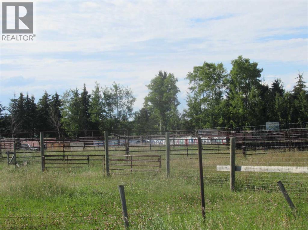 Bingley Road, Rural Clearwater County, Alberta  T4T 1A9 - Photo 13 - A2307520
