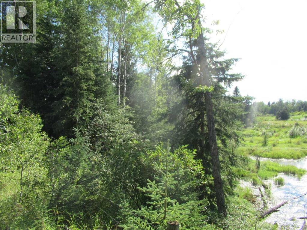 Bingley Road, Rural Clearwater County, Alberta  T4T 1A9 - Photo 10 - A2307520