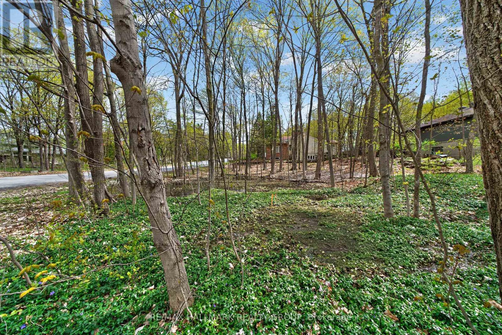 8 Davidson Drive, Ottawa, Ontario  K1J 7J9 - Photo 10 - X12784838