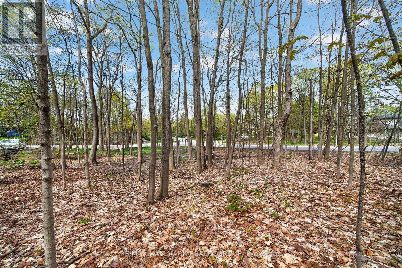 8 Davidson Drive, Ottawa, Ontario  K1J 7J9 - Photo 8 - X12784838