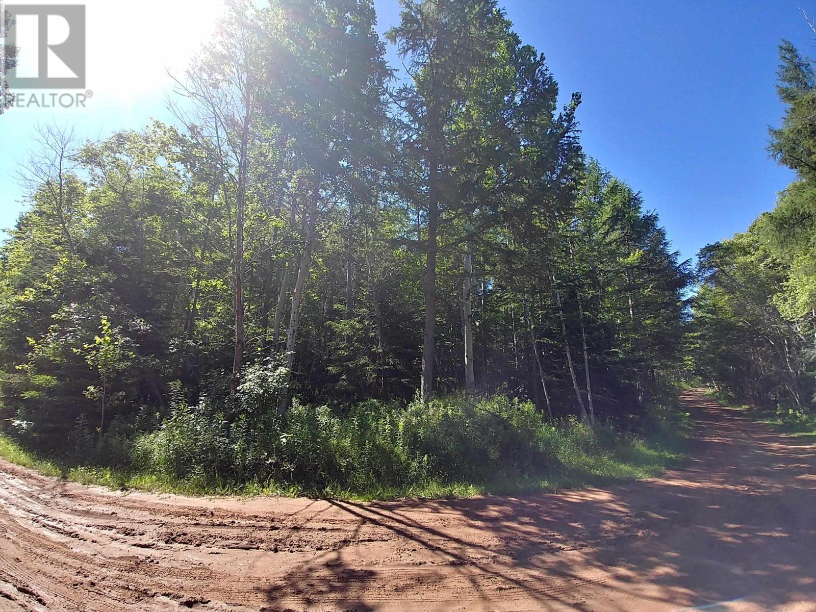Lot 10 Birch Lane, Georgetown Royalty, Prince Edward Island  C0A 1L0 - Photo 14 - 202414470