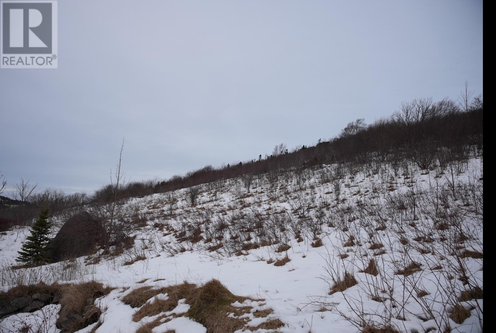 Lot 4 Old Maddox Cove Road, Maddox Cove, Newfoundland & Labrador  A0A 3H0 - Photo 22 - 1293782