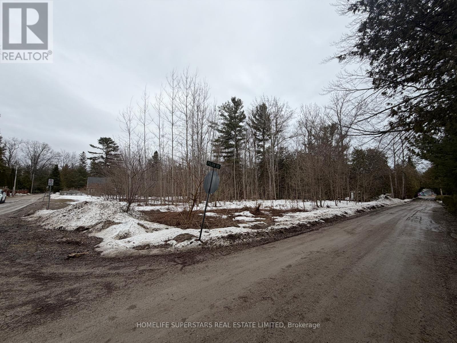 Lt 147 Pilon Road, Tiny, Ontario  L0L 2J0 - Photo 8 - S13102732