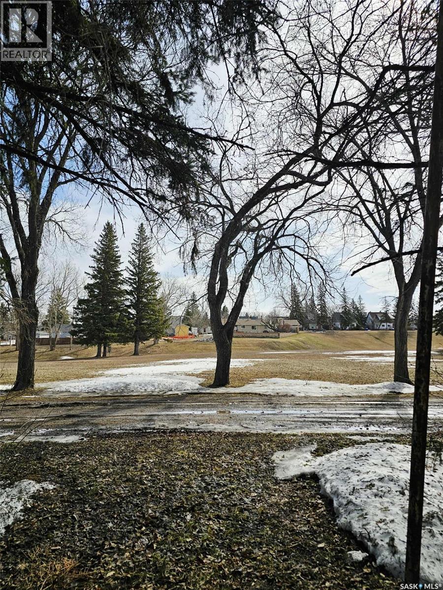 155 Peaker Avenue, Yorkton, Saskatchewan  S3N 1S6 - Photo 32 - SK032746
