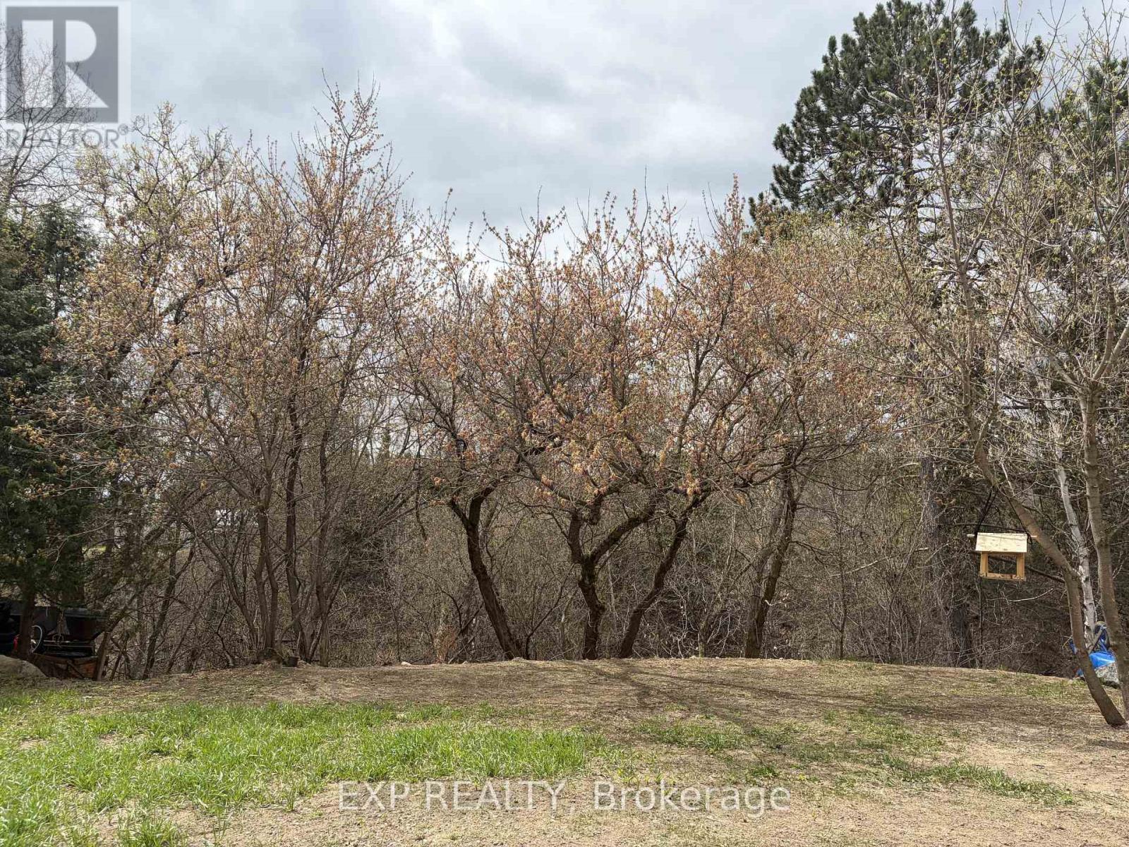 15 Zilney Street, Madawaska Valley, Ontario  K0J 1B0 - Photo 27 - X12956136