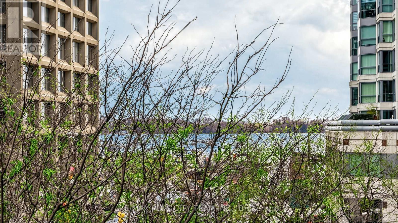 303 - 16 Yonge Street, Toronto, Ontario  M5E 2A1 - Photo 21 - C13103012