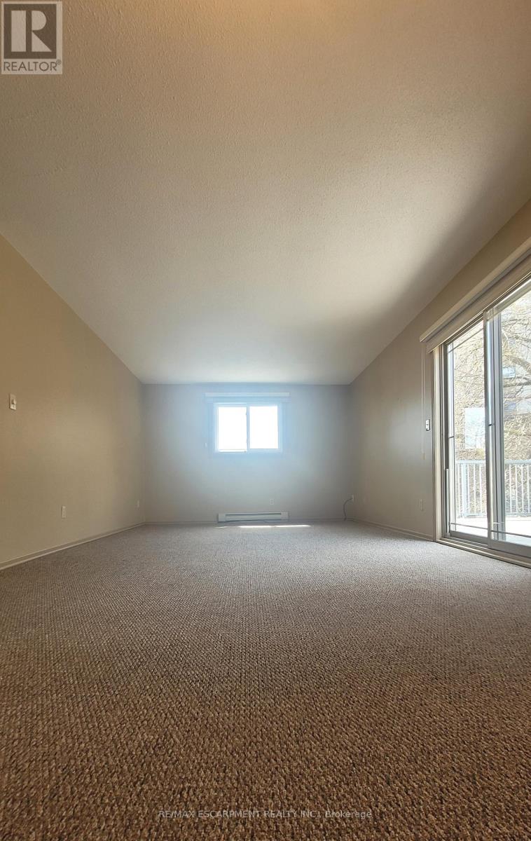 3 - 325 Fairview Street, Brantford, Ontario  N3R 2X3 - Photo 19 - X13102954