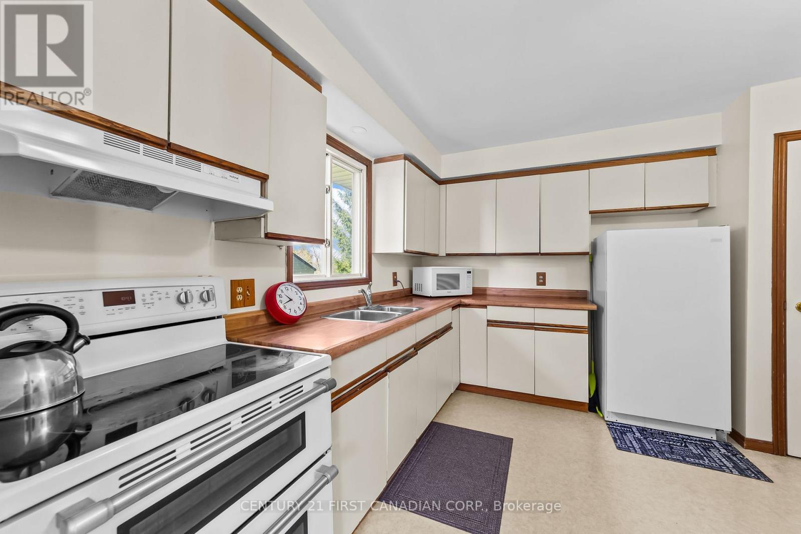 129 Albert Street, Lucan Biddulph, Ontario  N0M 2J0 - Photo 18 - X13103166