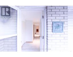 LOWER LEVEL - 135 PINEWAY BOULEVARD, Toronto, Ontario