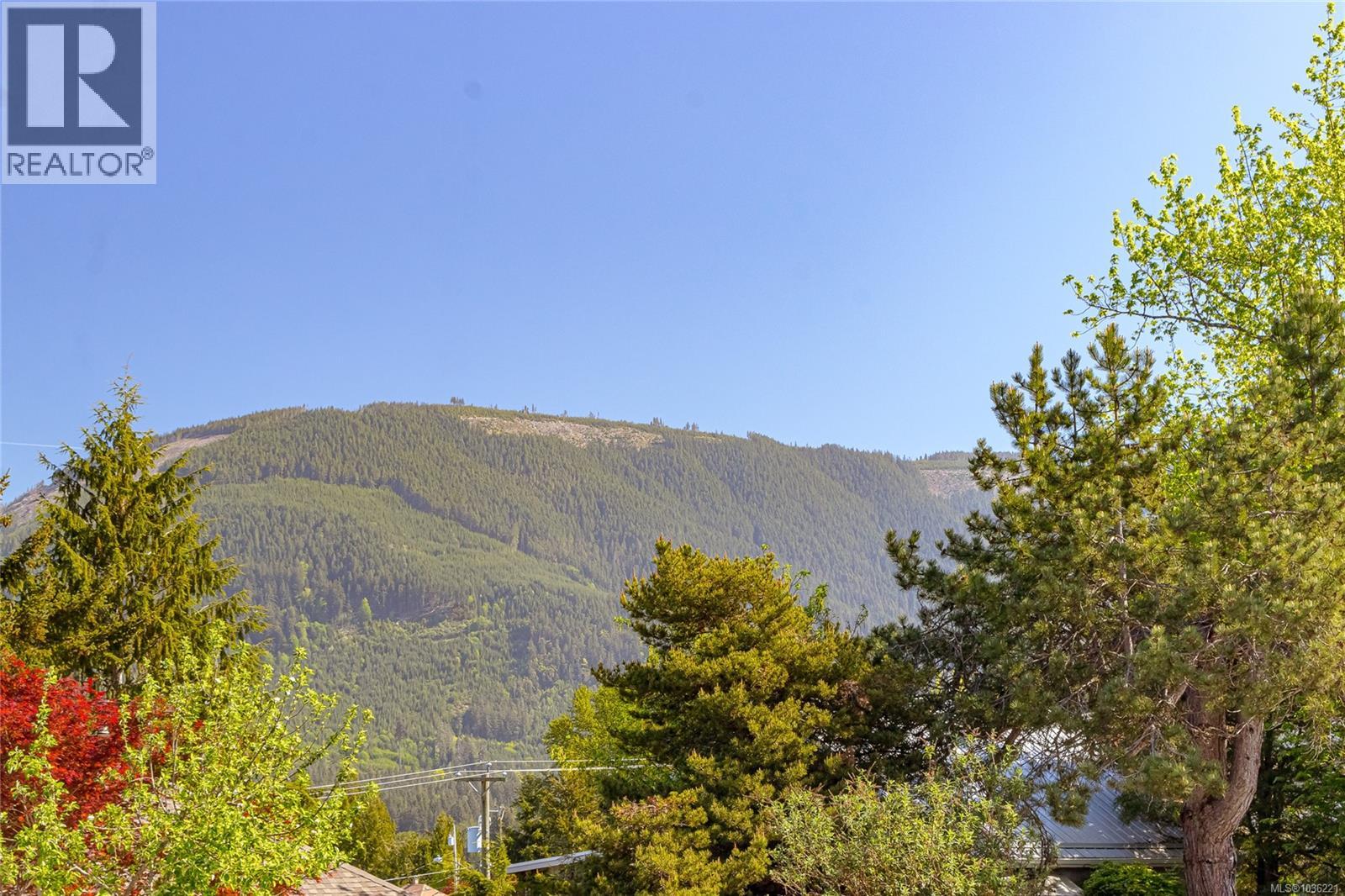 44 Arbutus St W, Lake Cowichan, British Columbia  V0R 2G0 - Photo 26 - 1036221