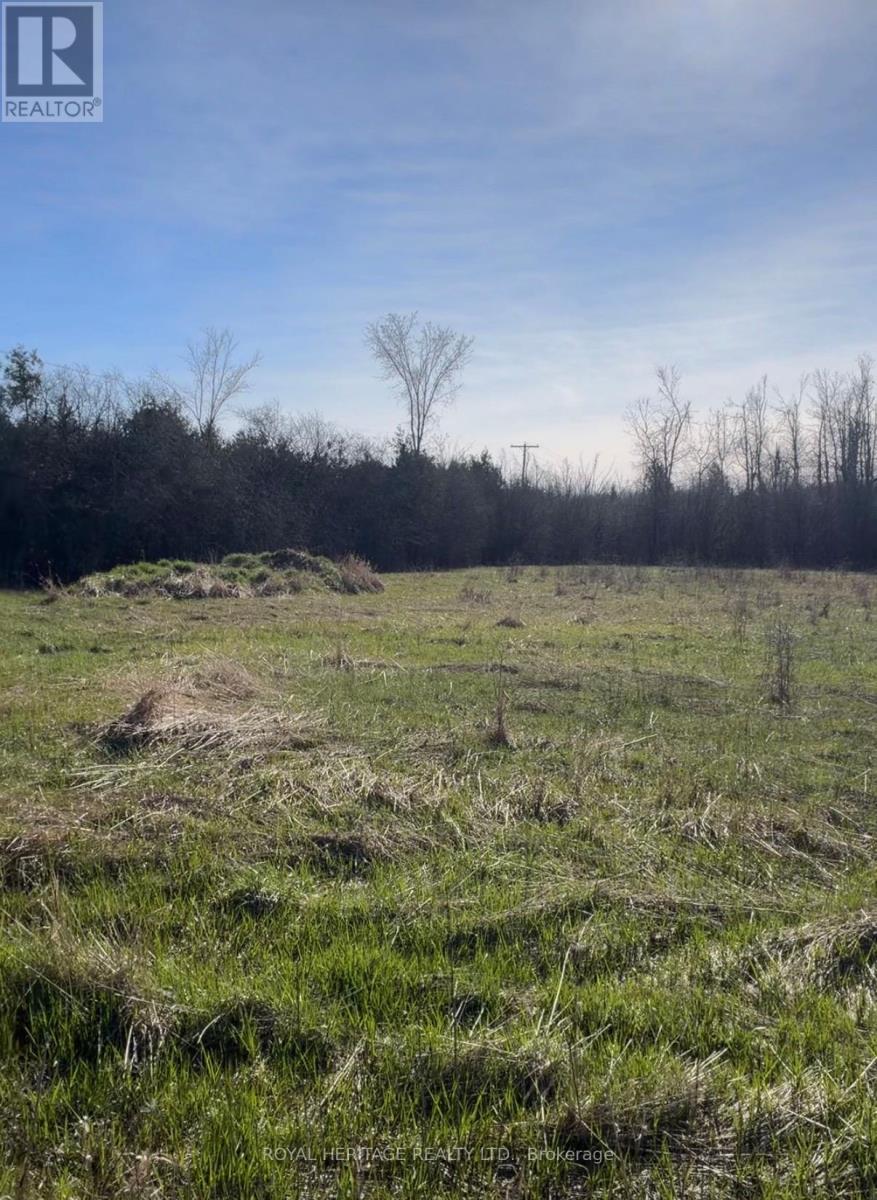 N/a Traceys Hill Road, Kawartha Lakes, Ontario  K9V 4R5 - Photo 4 - X12818002