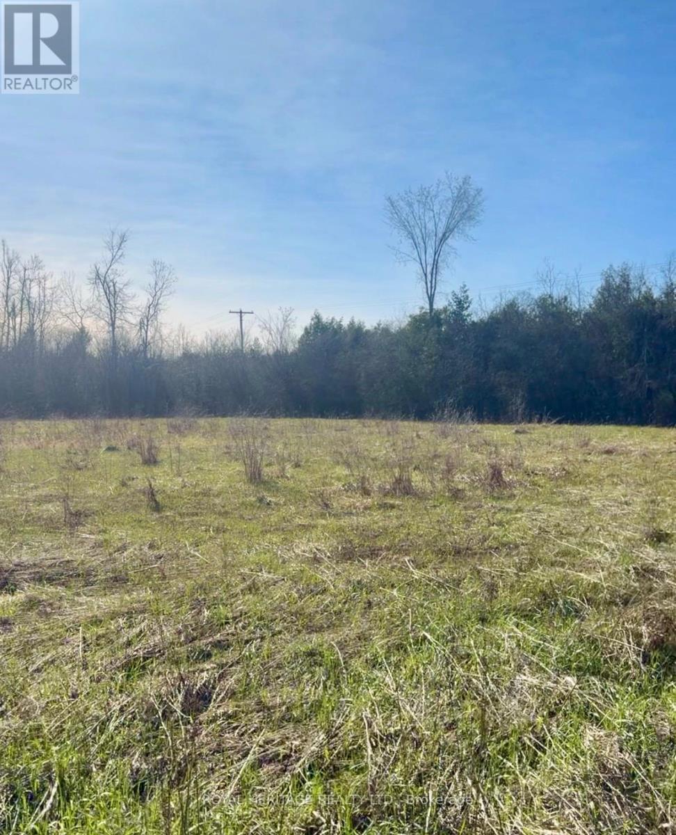 N/a Traceys Hill Road, Kawartha Lakes, Ontario  K9V 4R5 - Photo 2 - X12818002
