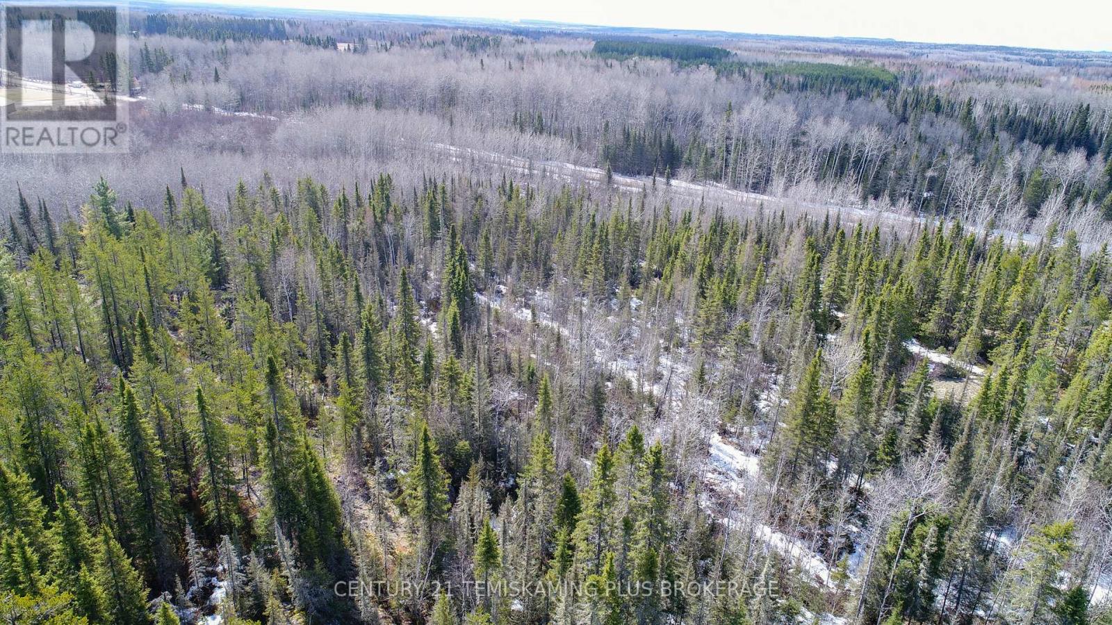 Pt 1 - Shalf Lt 7 Con 5 Chamberlain 5 Road, Englehart, Ontario  P0J 1H0 - Photo 10 - T13103540