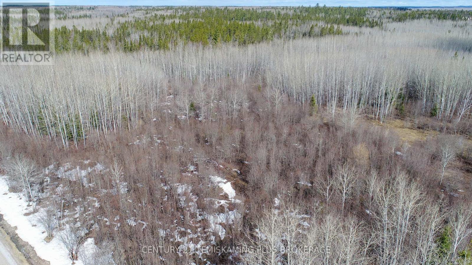 Pt 1 - Shalf Lt 7 Con 5 Chamberlain 5 Road, Englehart, Ontario  P0J 1H0 - Photo 2 - T13103540