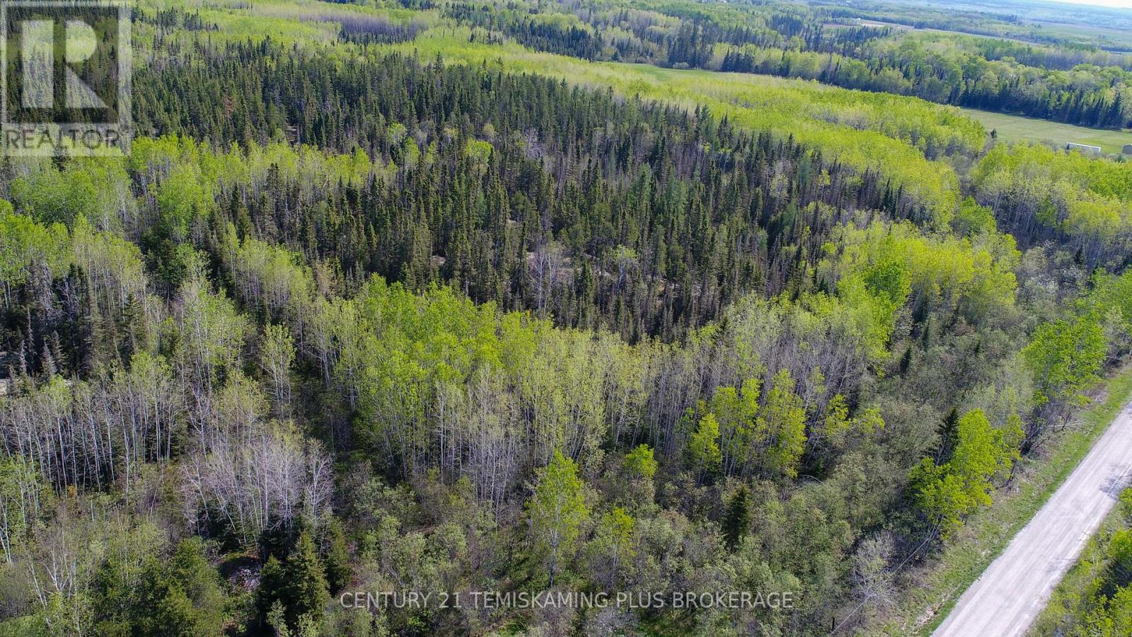 Pt 1 - Shalf Lt 7 Con 5 Chamberlain 5 Road, Englehart, Ontario  P0J 1H0 - Photo 8 - T13103540