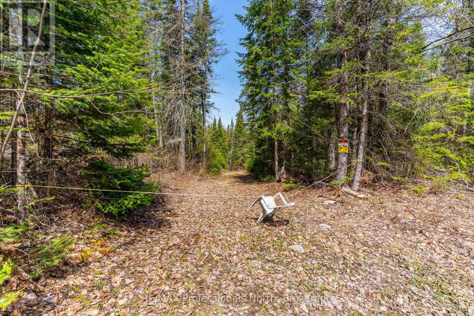 Lot 3 Hadlington Road, Highlands East, Ontario  K0L 2Y0 - Photo 6 - X13103456