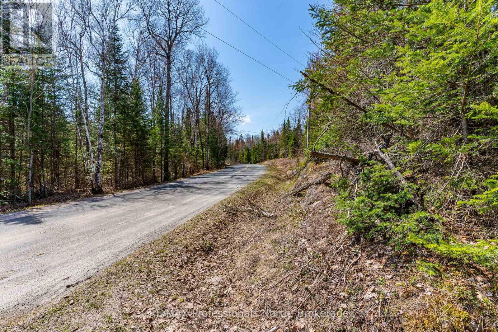 Lot 3 Hadlington Road, Highlands East, Ontario  K0L 2Y0 - Photo 7 - X13103456