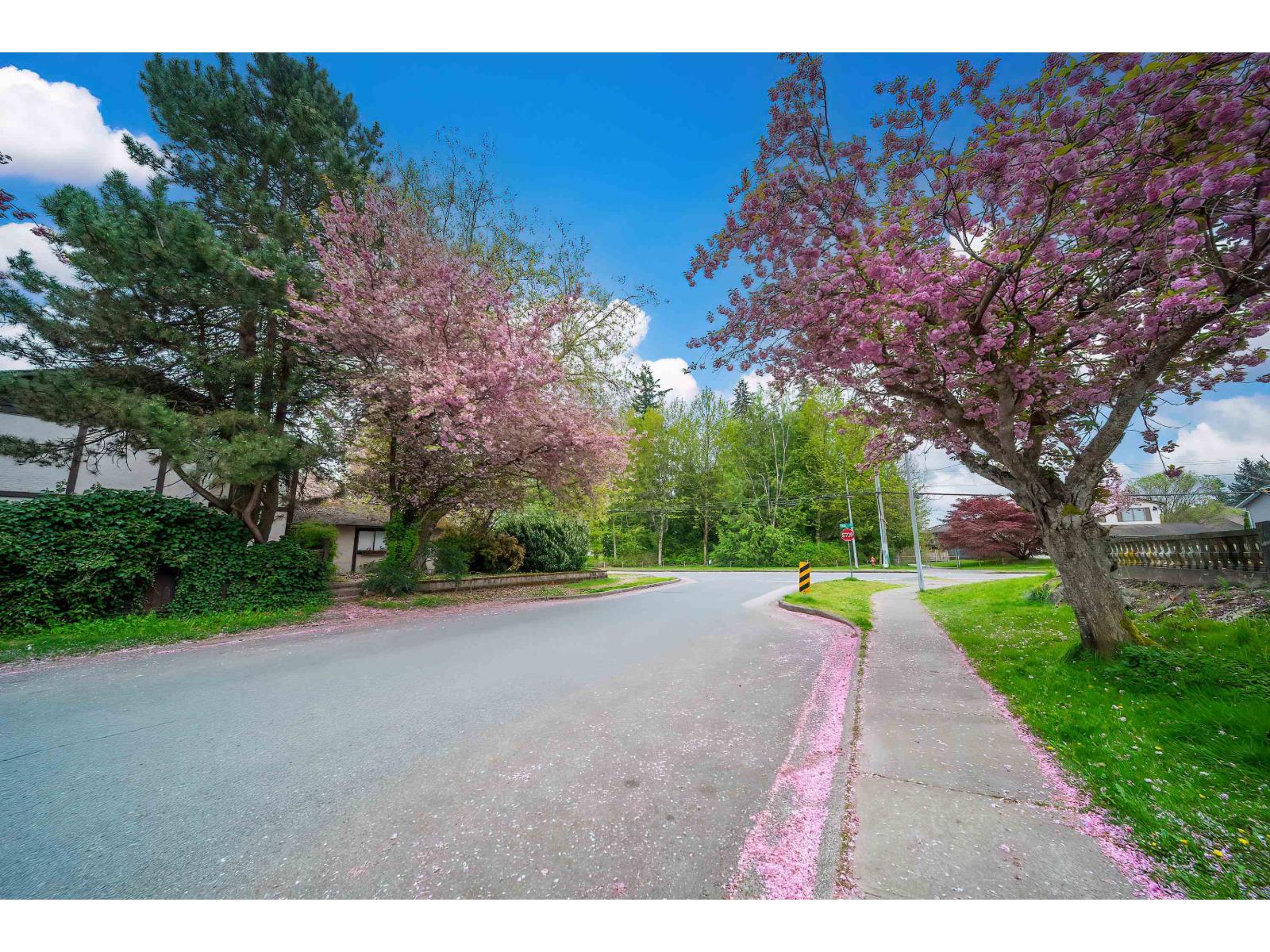 10123 158a Street, Surrey, British Columbia  V4N 2P8 - Photo 39 - R3090878