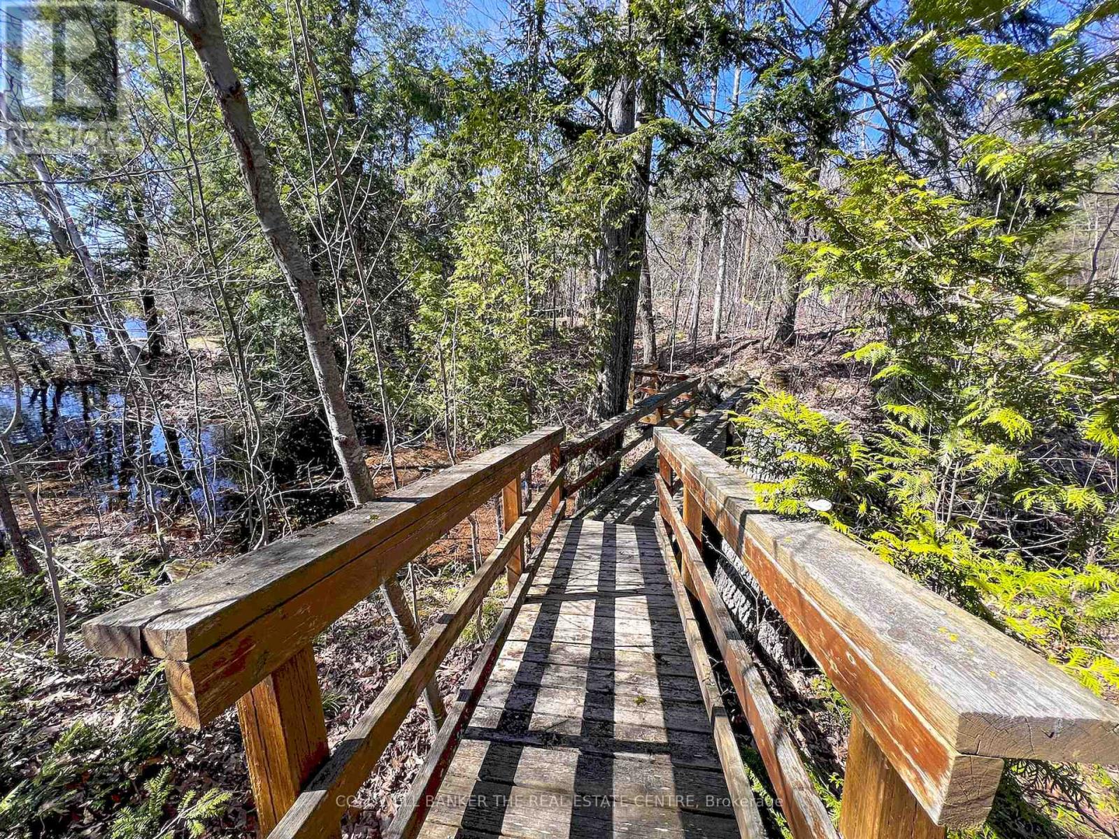 16 Evergreen Way, Trent Lakes, Ontario  K0M 1A0 - Photo 16 - X13084108
