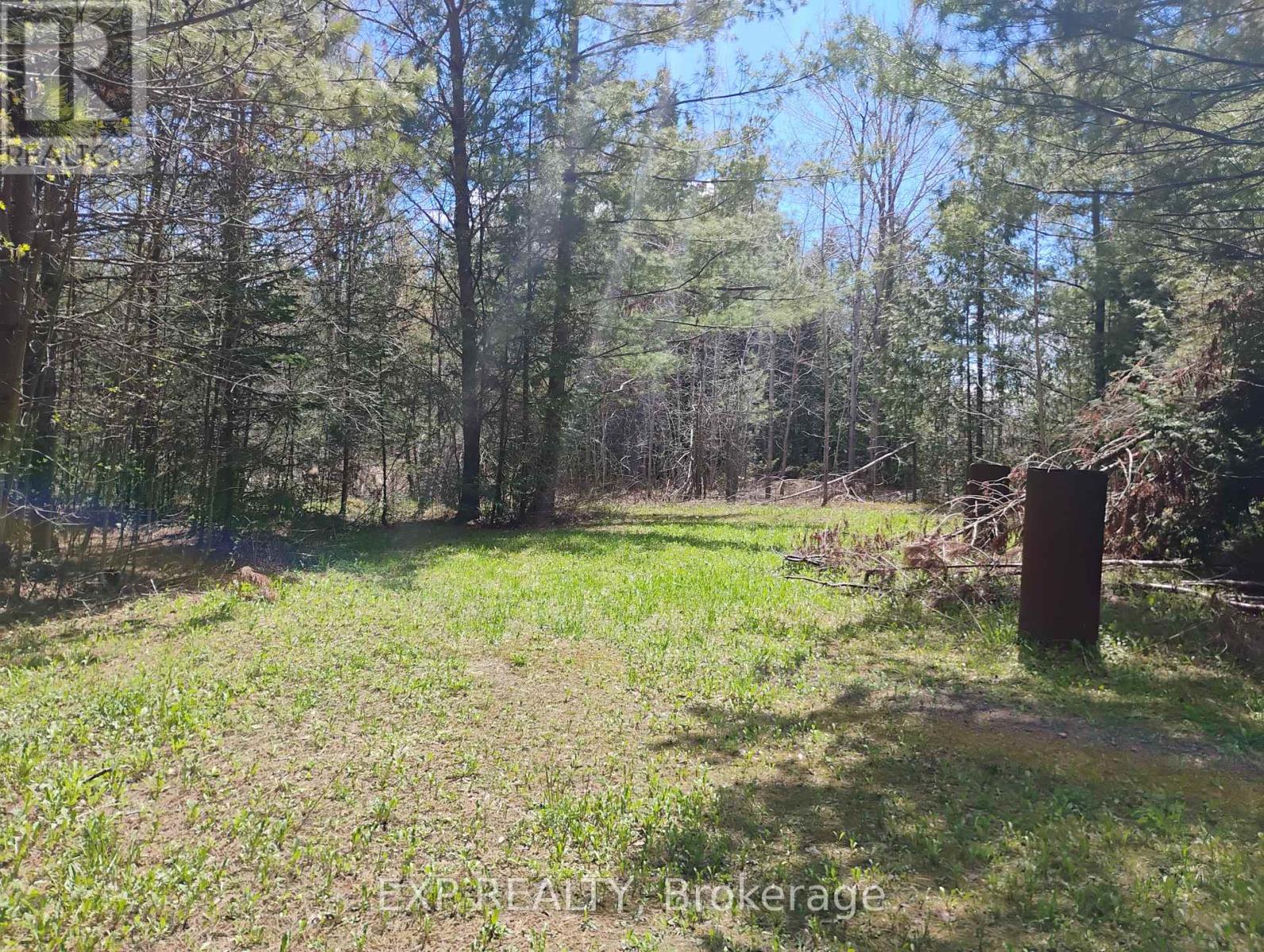 2825 Perry Avenue, Ramara (Brechin), Ontario  L0K 1B0 - Photo 2 - S13103576