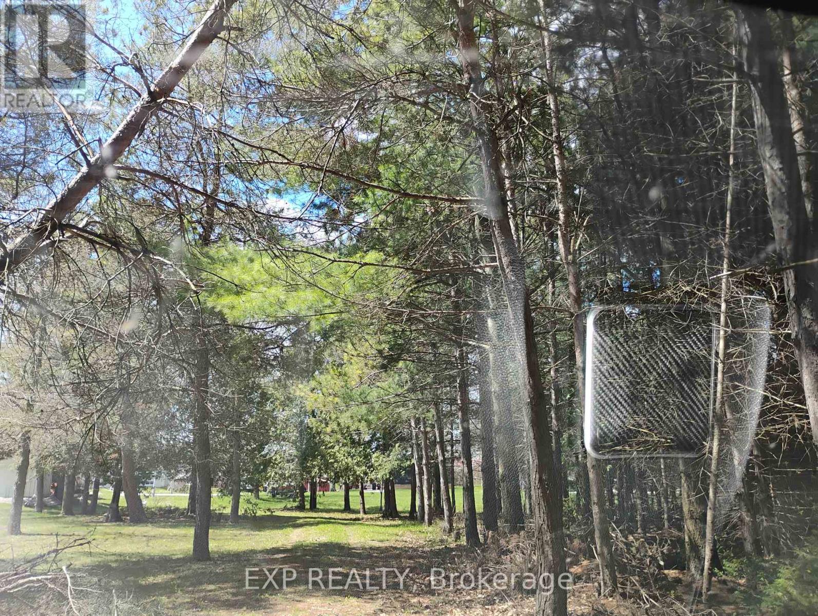 2825 Perry Avenue, Ramara (Brechin), Ontario  L0K 1B0 - Photo 4 - S13103576