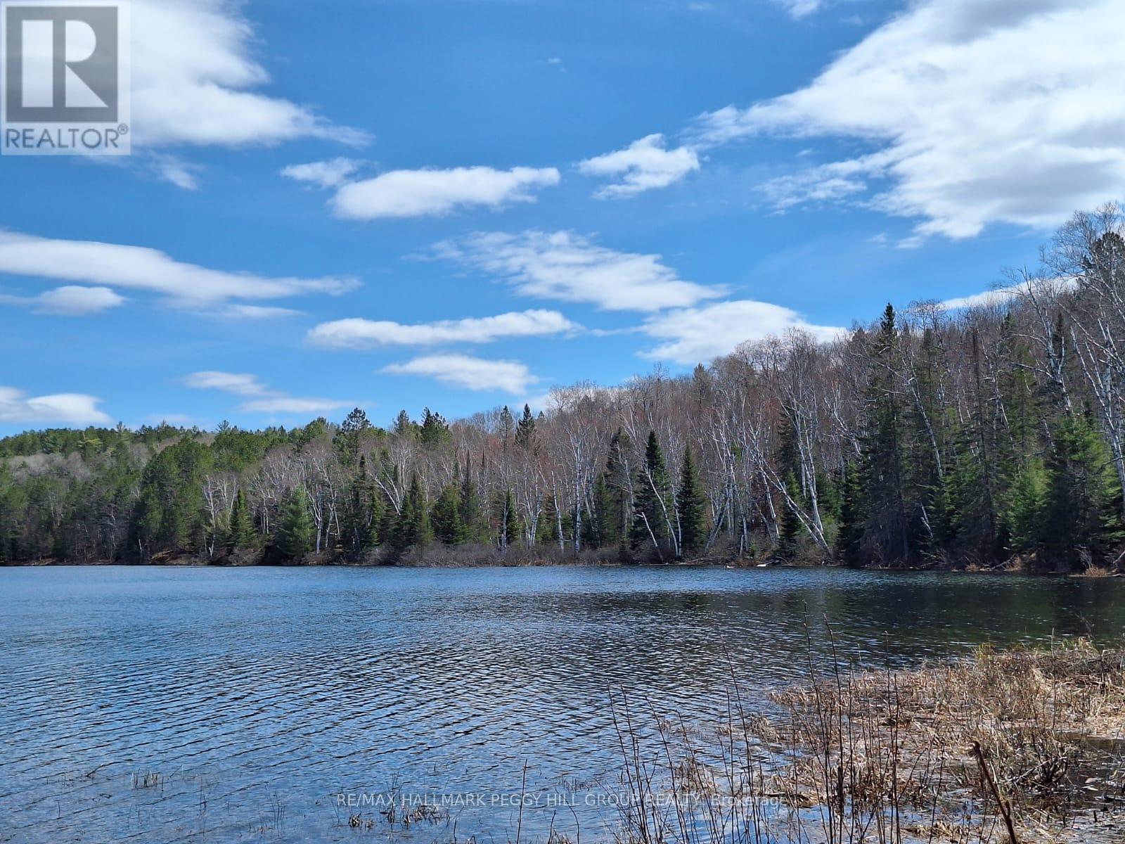 0 Pioneer Road, Bonfield, Ontario  P0H 1Z0 - Photo 24 - X13103650